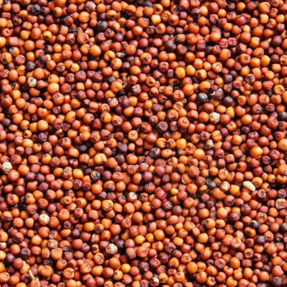 Organic Ragi Whole (रागी)