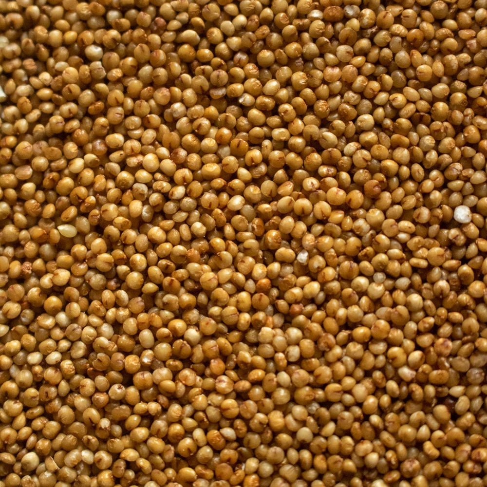 Organic Millet (Kodo Bajra) (कोदो) 900GM
