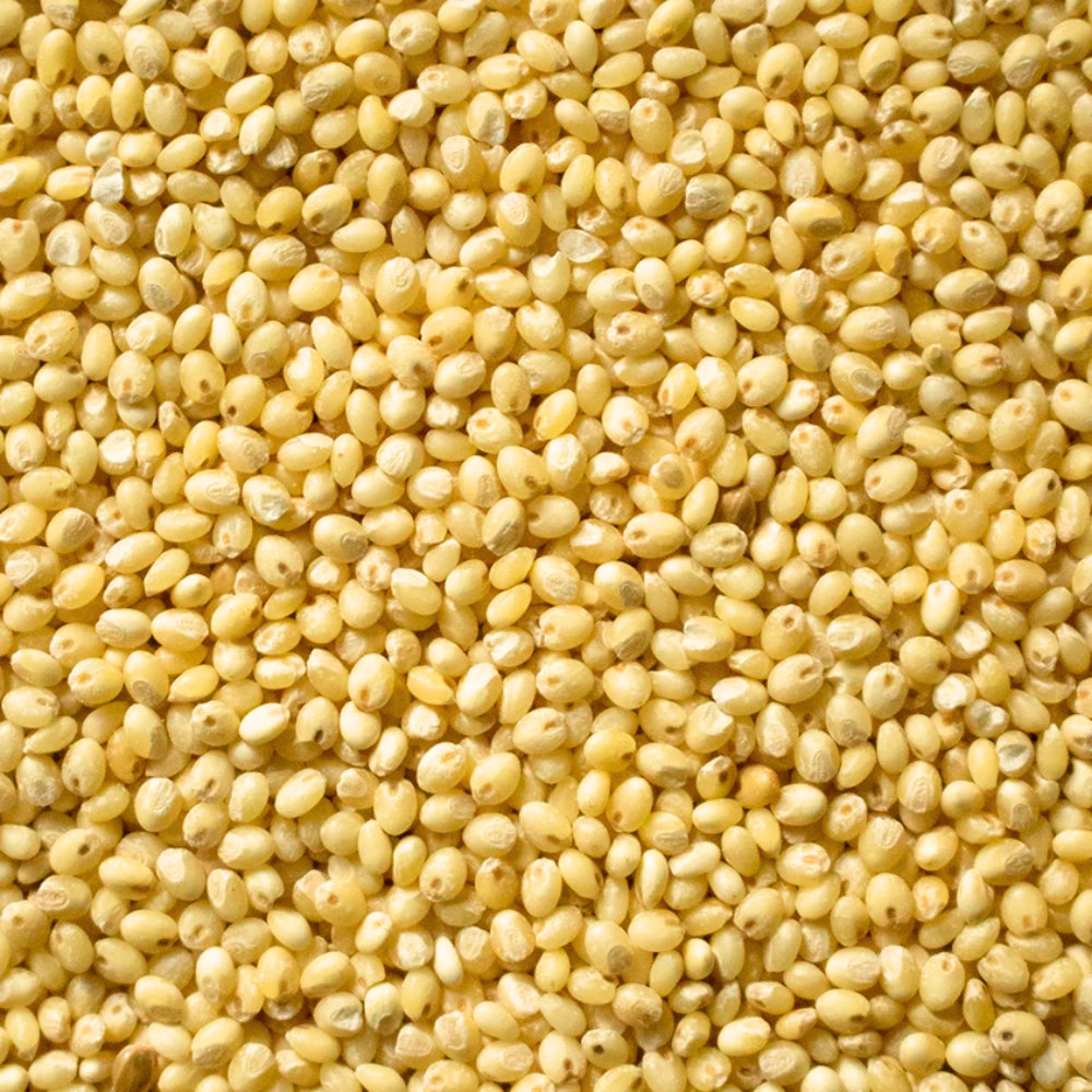 Organic Proso Millet (Chena) (प्रोसो मिलेट) 900GM