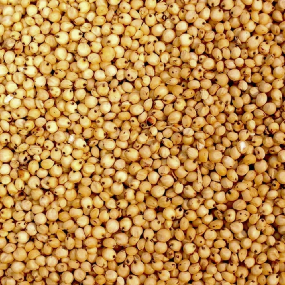 Organic Barnyard Millet (Baajara) (साँवा) 900GM