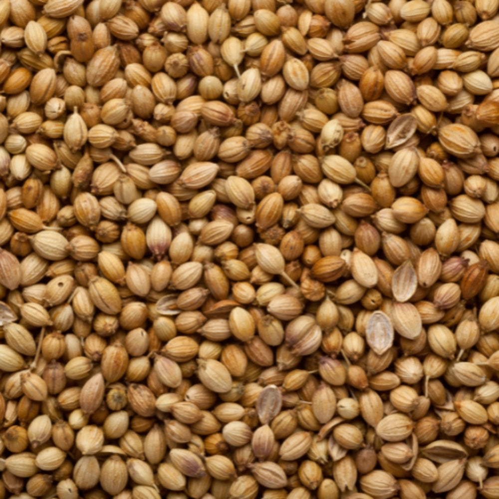 Organic Coriander Sabut (Dhaniya) (साबूत धनिया) (450gm x 2) Pack of 2