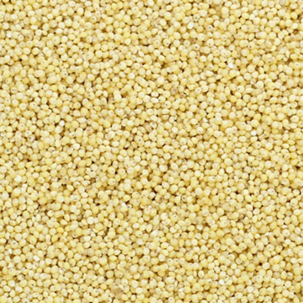 Organic Little Millet (Kutki Bajra) (बाजरी) 900GM