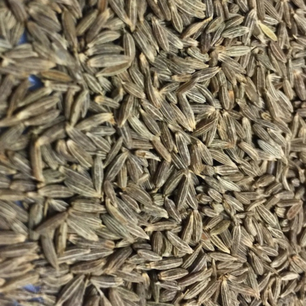 Organic Cumin Whole (Jeera) (जीरा)