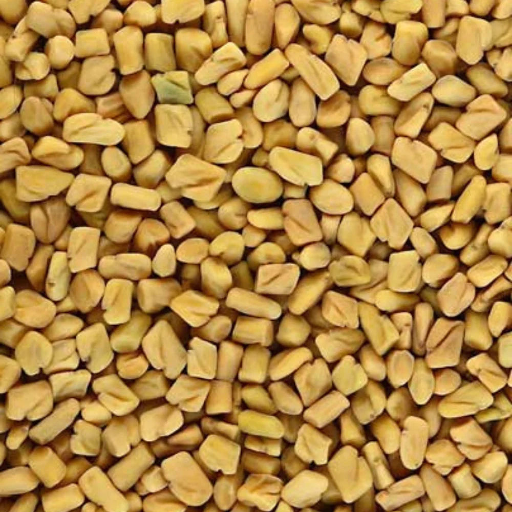 Organic Fenugreek (दानामेथी) (300gm) (Pack of 2)