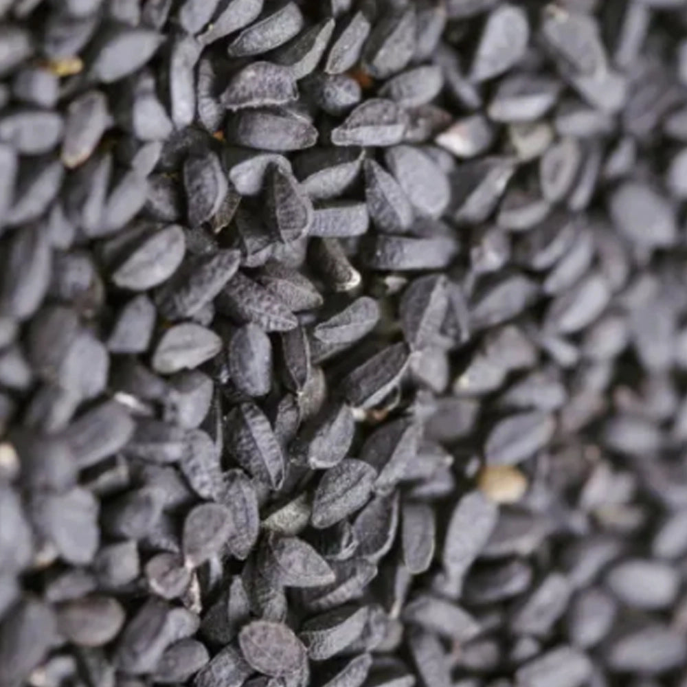 Organic Kalonji (कलौंजी)