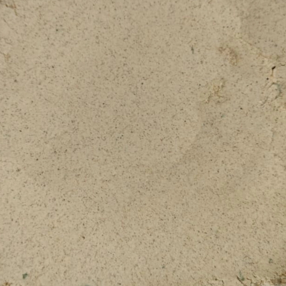 Masala Sattu
