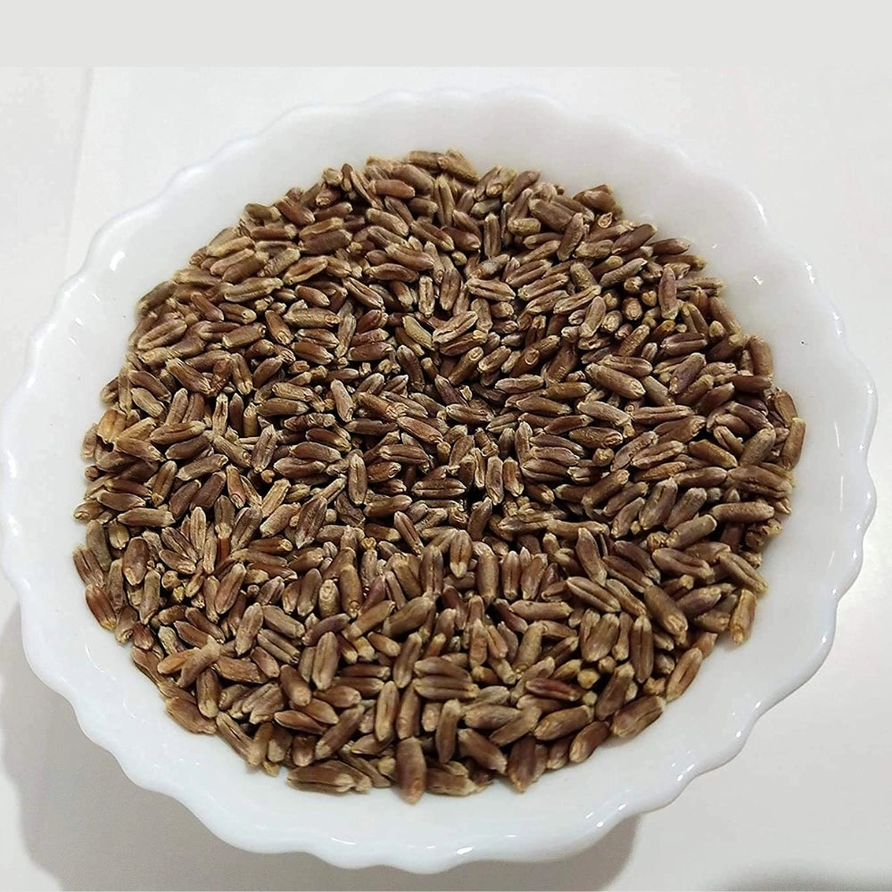 Black Wheat Porridge (काला गेहूं दलिया)