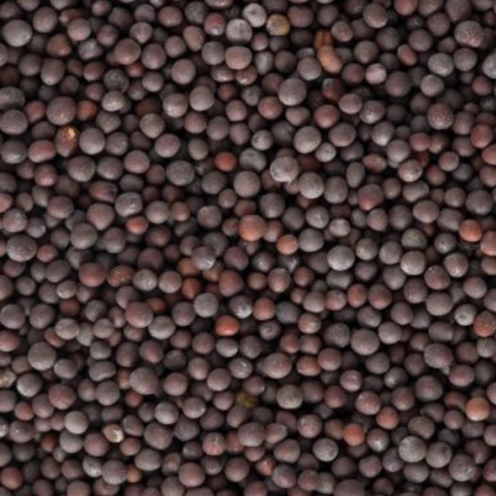 Organic Rai (राई)