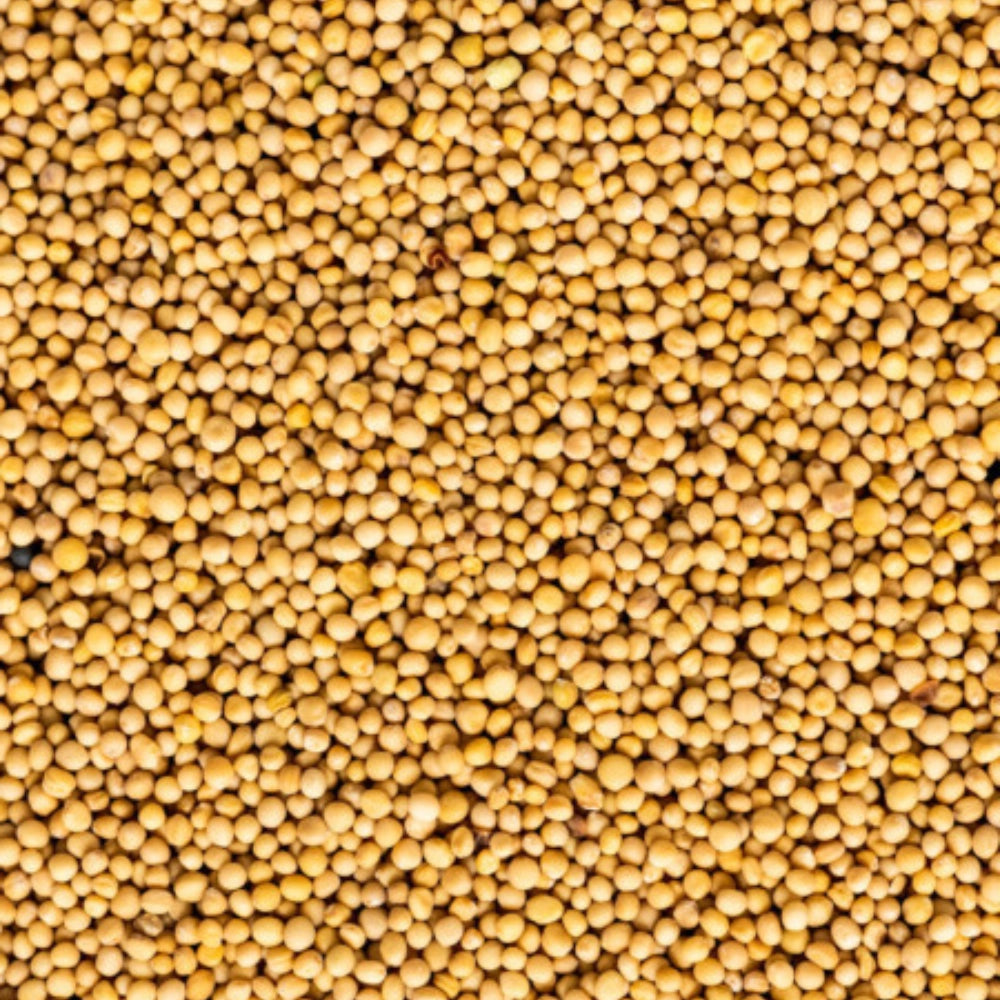 Organic Mustard Yellow (Sarason) (पीली सरसों)