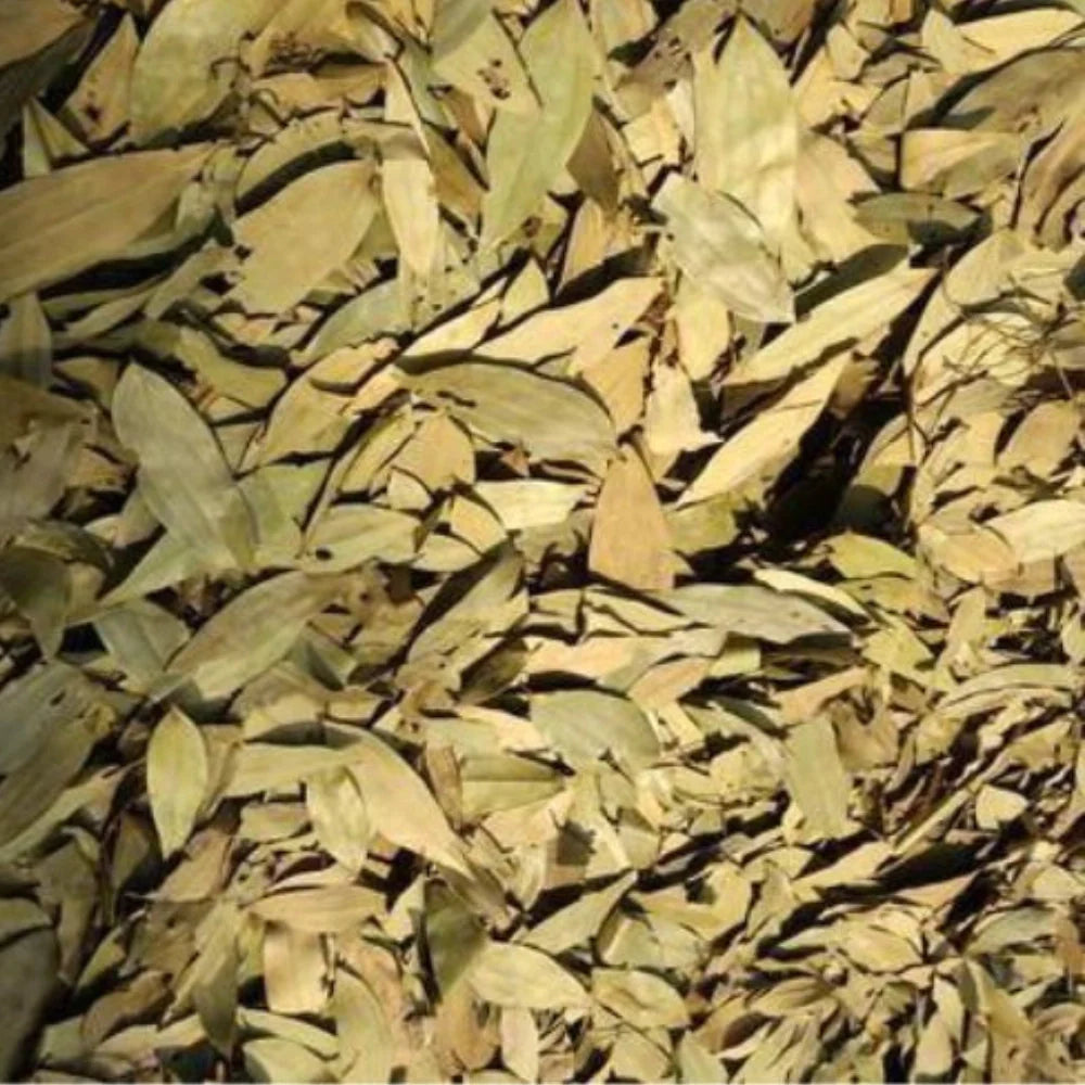 Organic Bay Leaf (Tej Patta) (तेज़ पत्ता) (100gm) (Pack of 2)