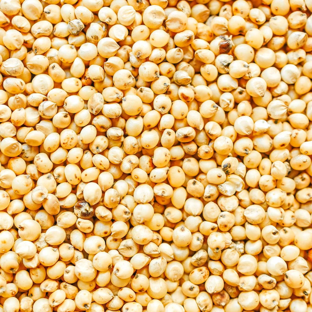 Organic Sorghum Whole (Jowar) (ज्वार)