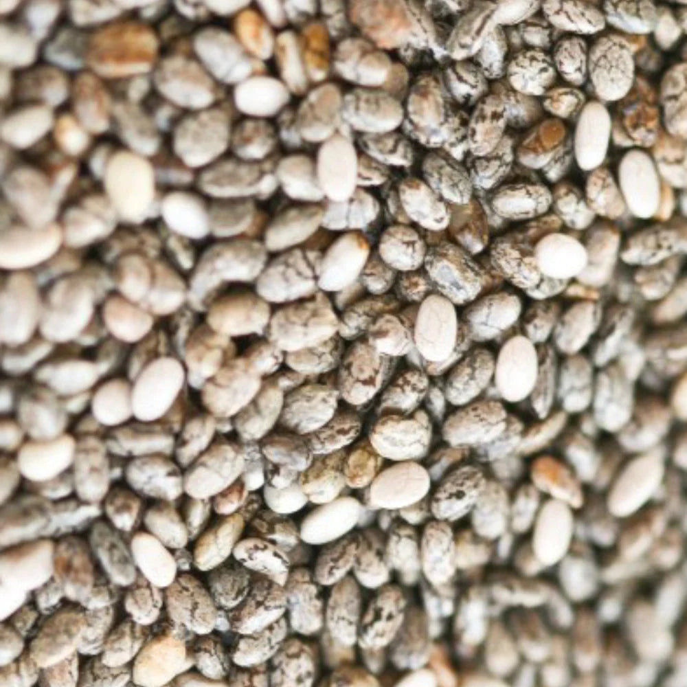 Organic Chia Seed (चिया बीज) (350gm) (Pack of 2)