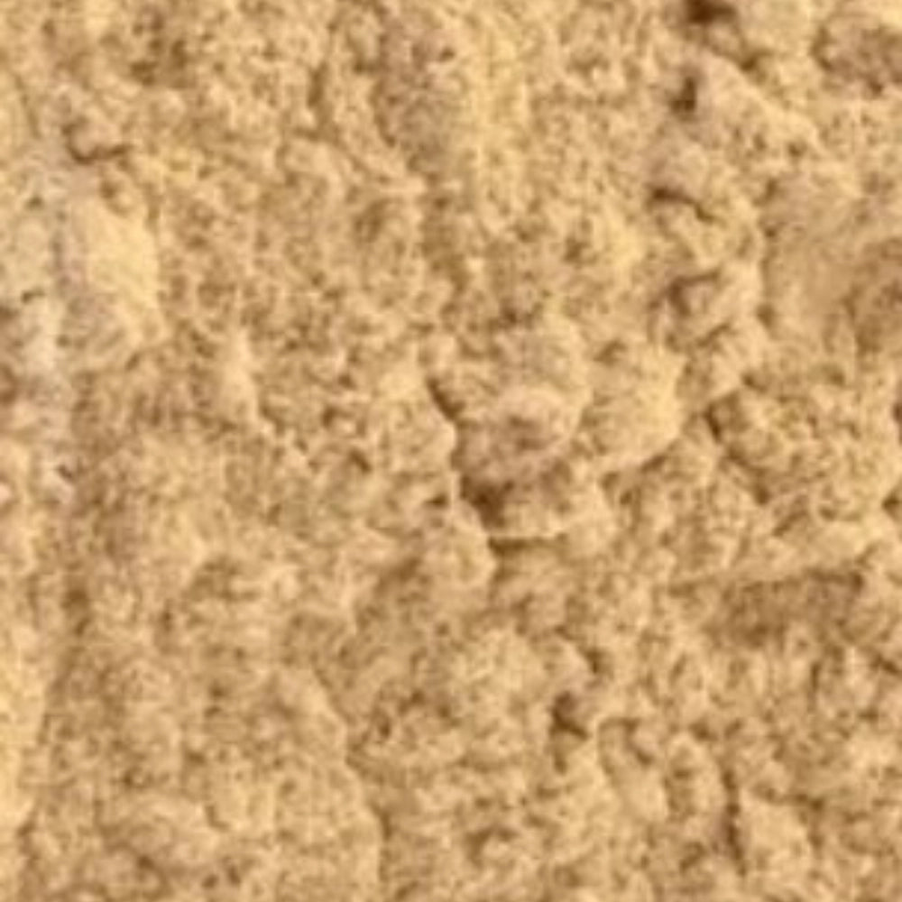 Organic Amla Powder (आंवला पाउडर)