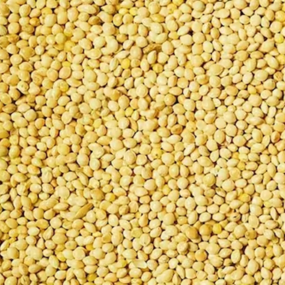Organic Foxtail Millet (Kangni Bajra) (कंगनी)