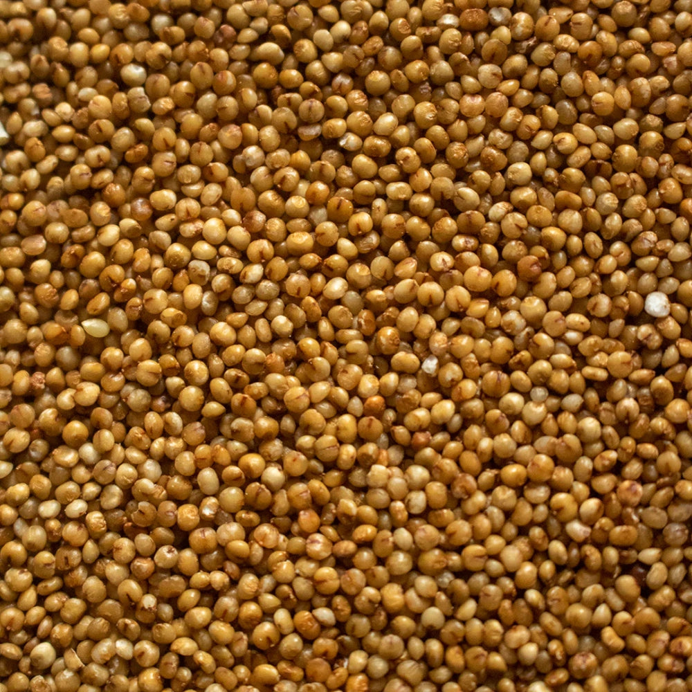 Organic Millet (Kodo Bajra) (कोदो)