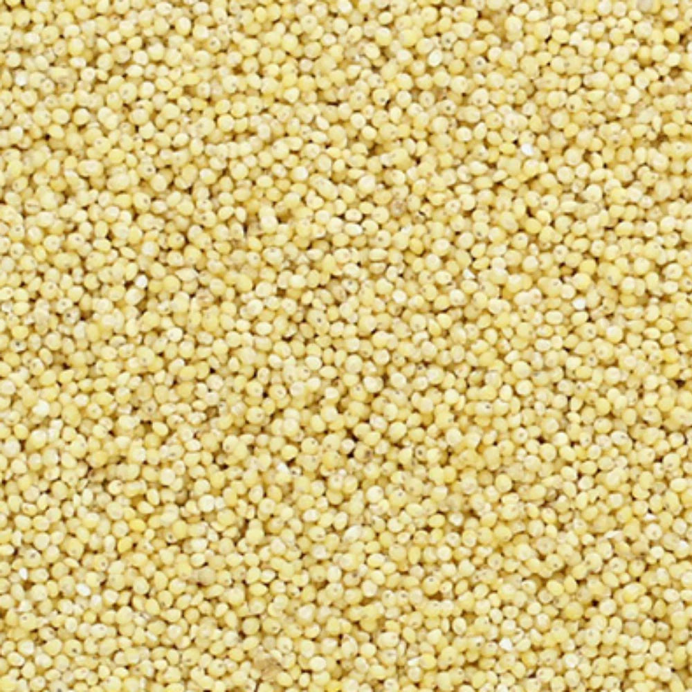 Organic Little Millet (Kutki Bajra) (बाजरी) (400gm) (Pack of 2)
