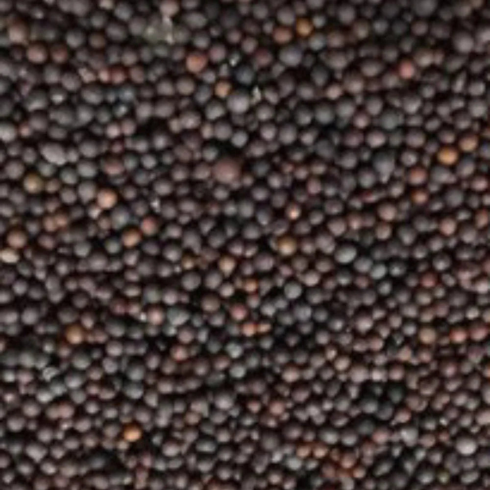 Organic Mustard Black (सरसों काली) (300gm) (Pack of 2)