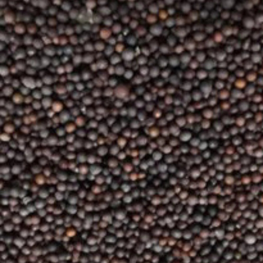 Organic Mustard Black (Sarason) (सरसों काली)