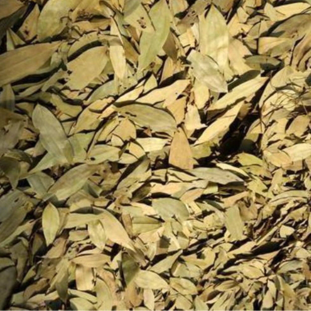 Organic Bay Leaf (Tej Patta) (तेज़ पत्ता)