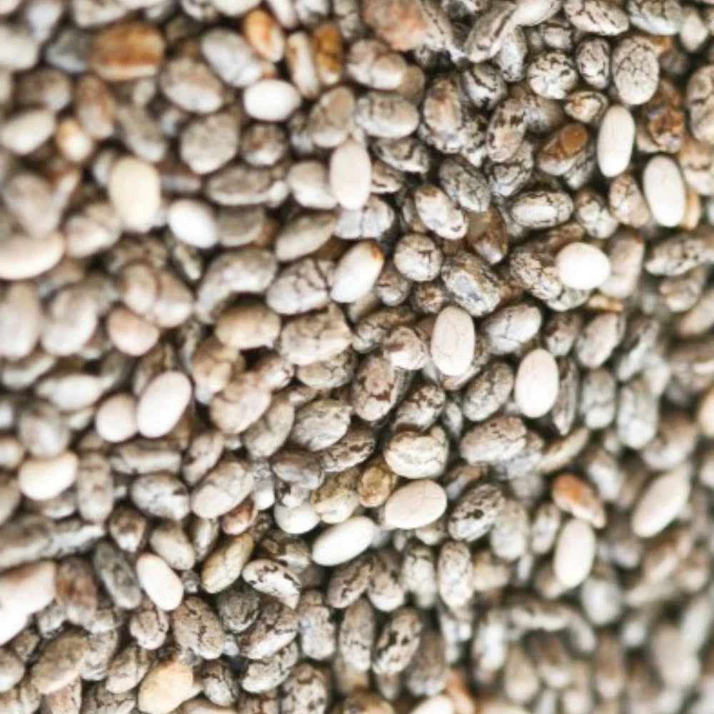 Organic Chia Seed (Sabja) (चिया बीज) (350gm) (Pack of 2)
