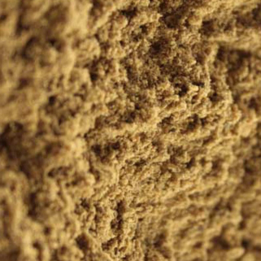 Organic Triphala Powder (त्रिफला पाउडर) (50gm) (Pack of 2)