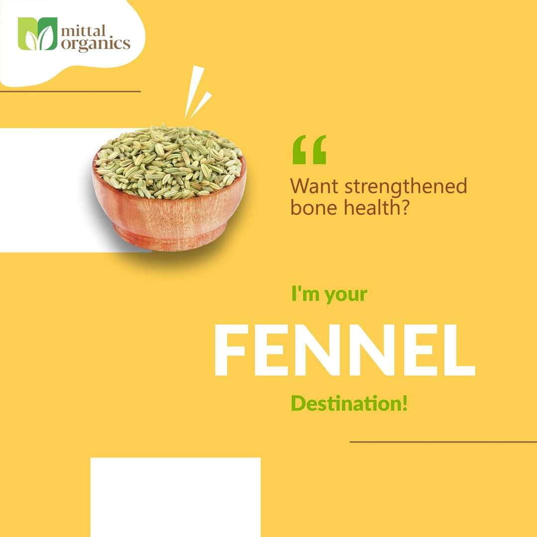 Organic Fennel (Saunf) (सौंफ)